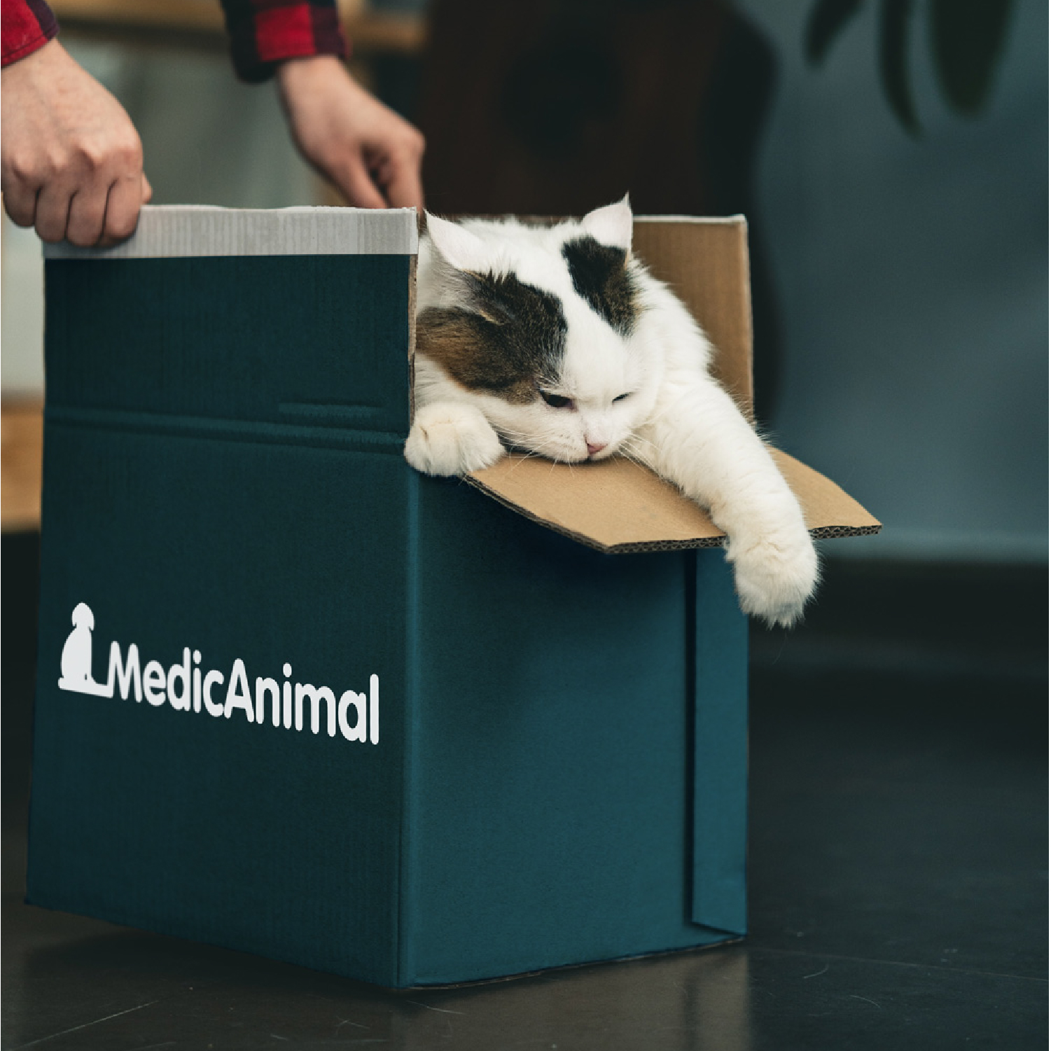 Medicanimal